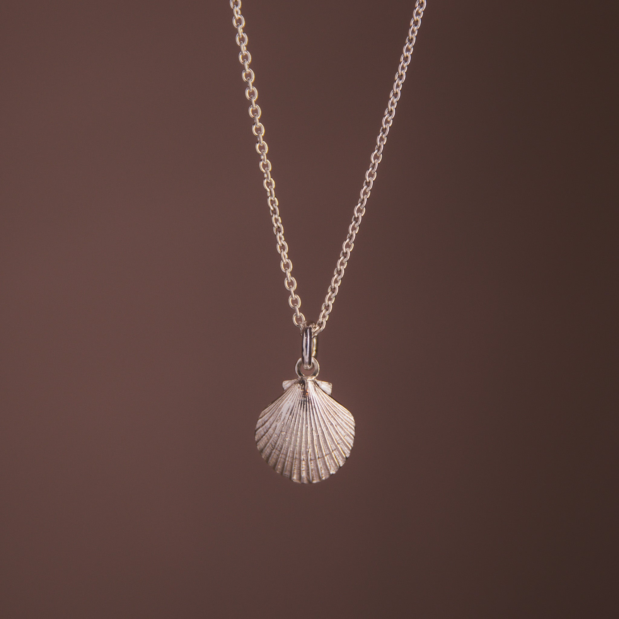 Venus Shell Pendant Necklace
