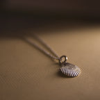 Venus Shell Pendant Necklace