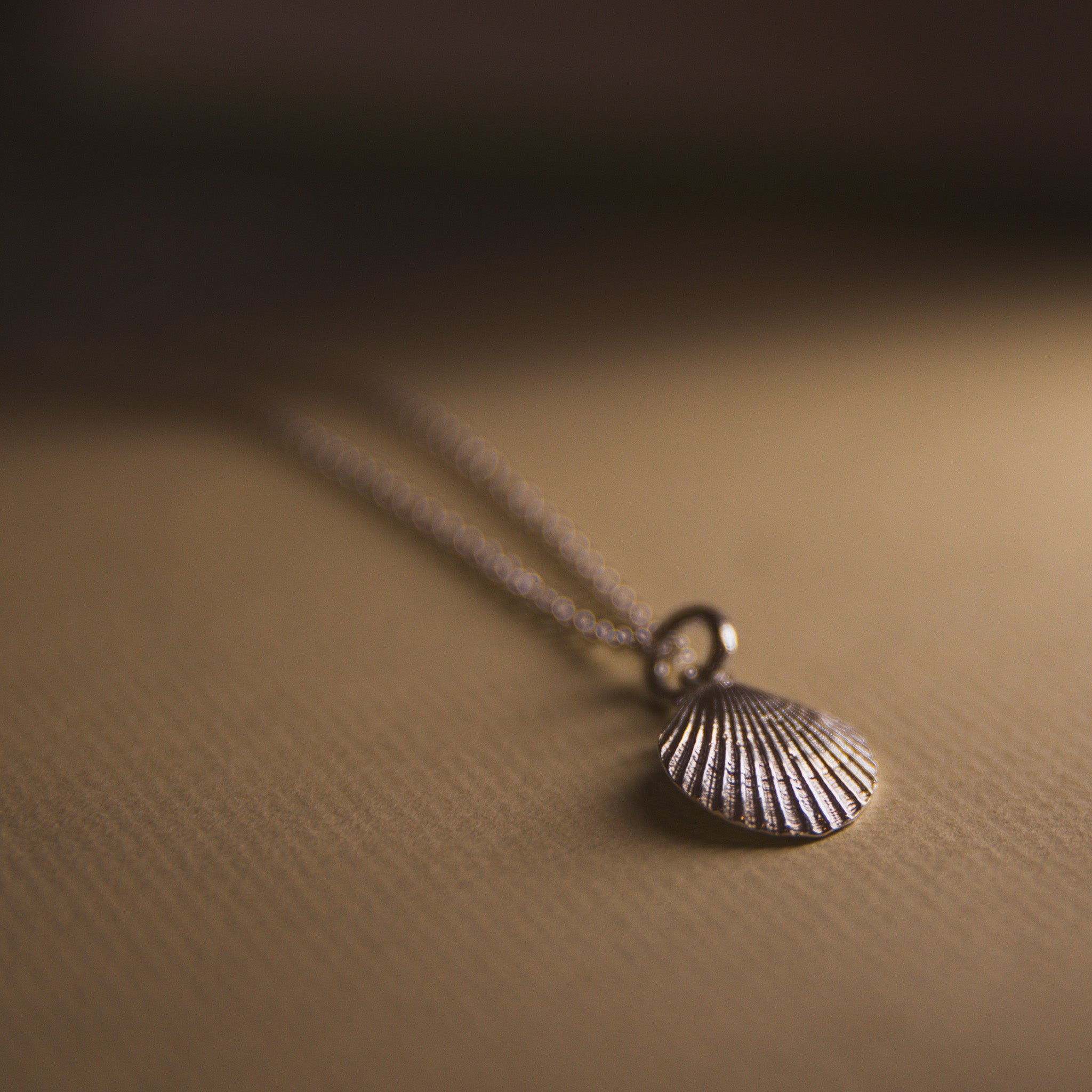 Venus Shell Pendant Necklace