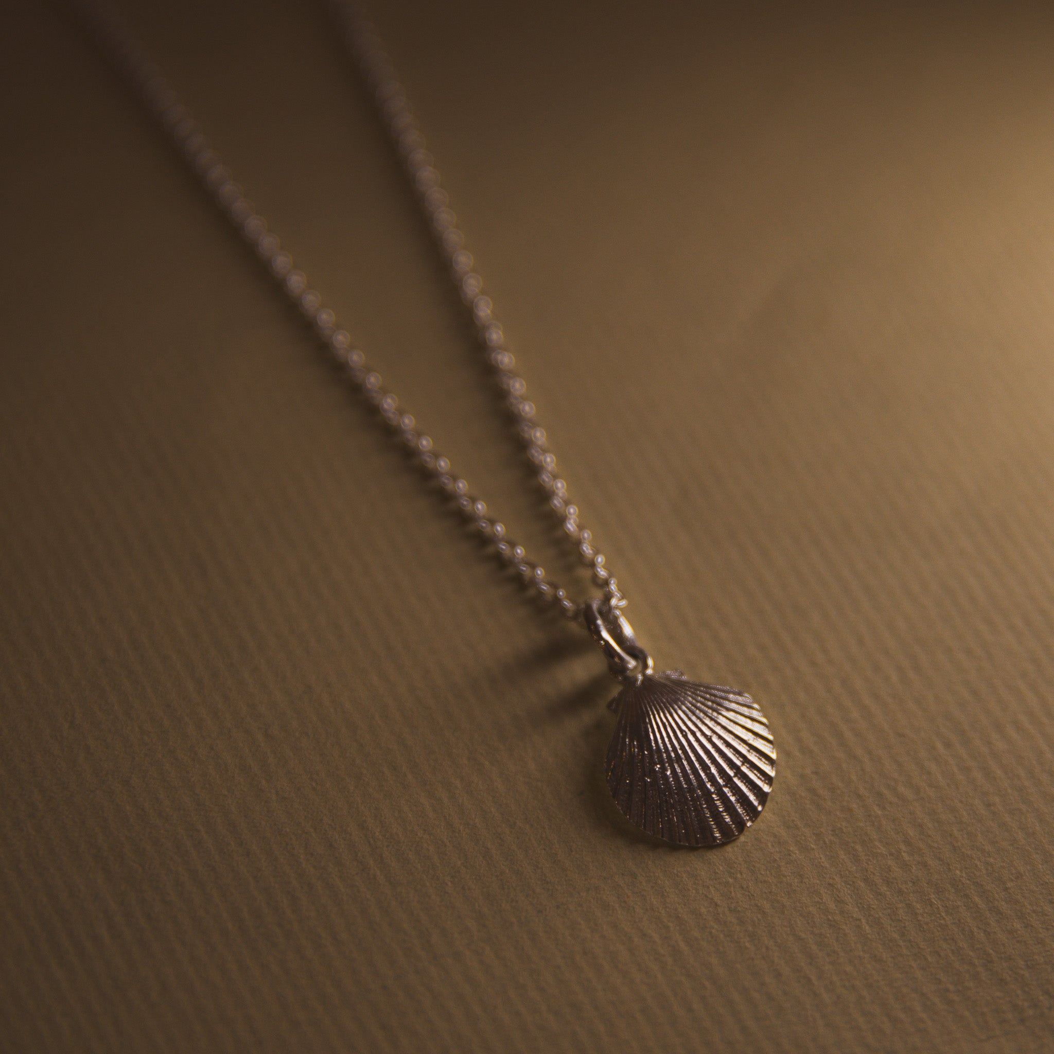 Venus Shell Pendant Necklace