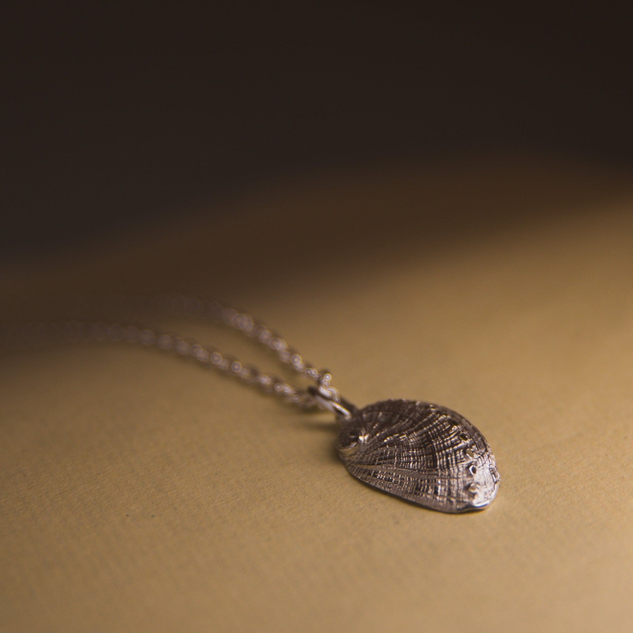 Pāua Tide Pendant Necklace Medium