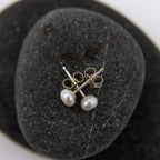 Pearl Studs