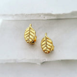 Native Leaf Studs